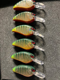 Glowtail Perch Holographic Flatside