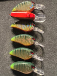 Glowtail Perch Holographic Flatside
