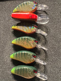 Glowtail Perch Holographic Flatside