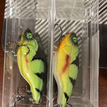 Bleeding Perch Lipless